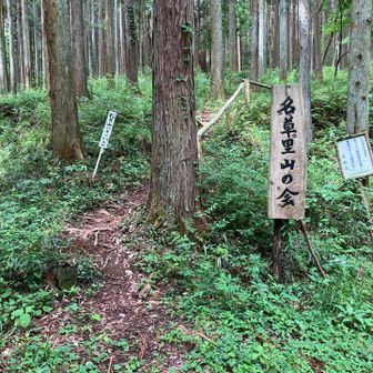 名草里山の会の方が整備してくれてます❣️