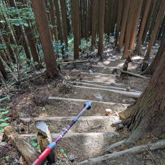 ずーっと階段ですが〜
苦になりません✌