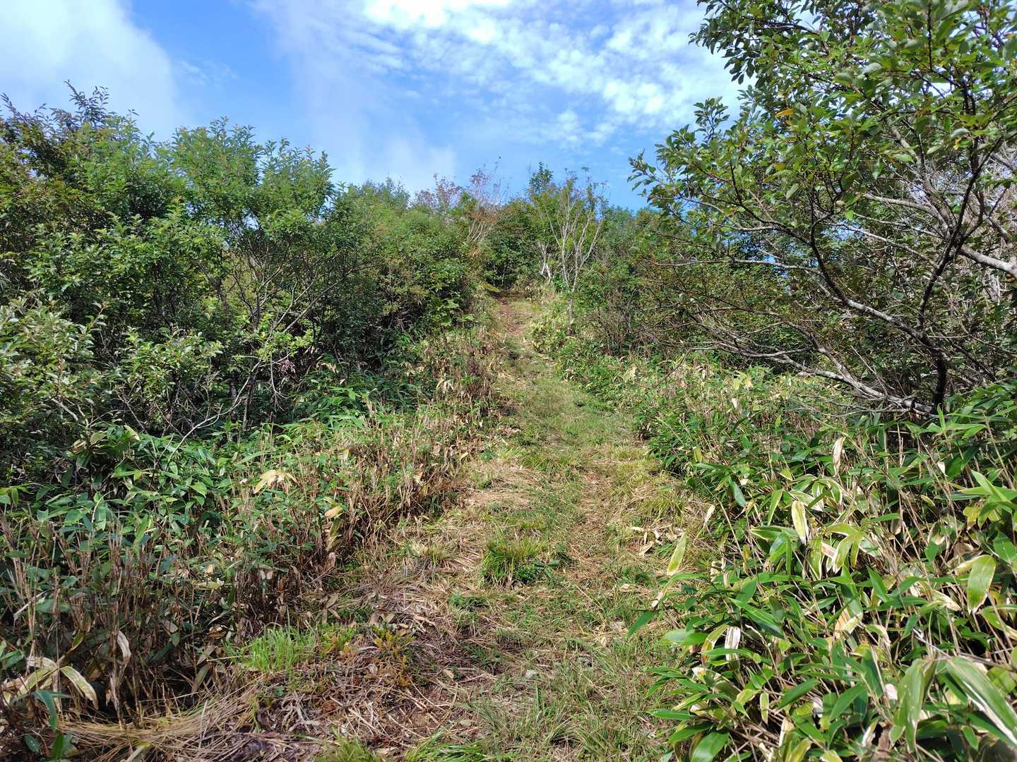 笠菅峠-泉山 往復コースの写真
