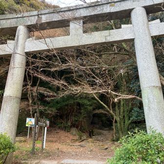 神社から左側へ出て、少し車道を歩いた先の鳥居をくぐって登山スタートです。