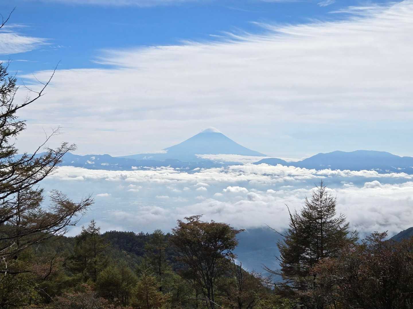 甘利山登山口-甘利山-大西峰 往復コースの写真