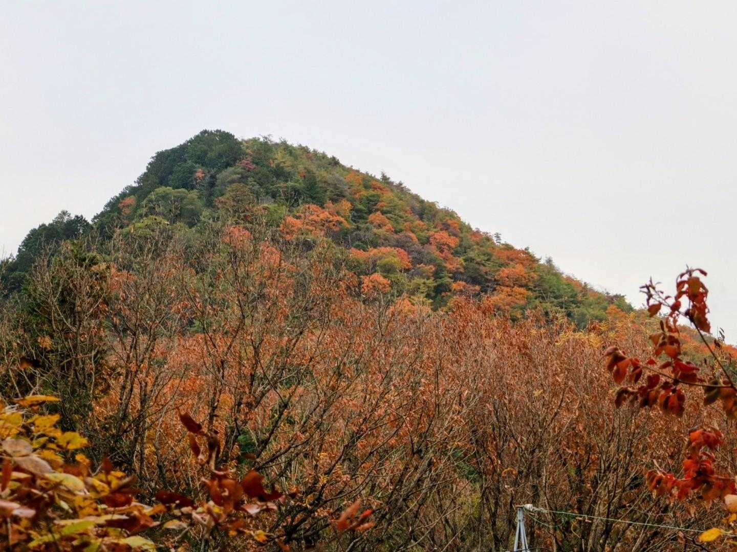槍どんぐり山 往復コースの写真