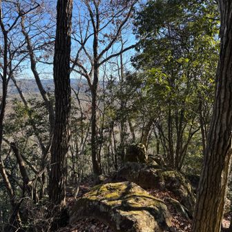 かなりの岩🪨
下りはかなり怖いです。