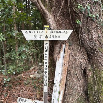 愛宕山山頂寄り道