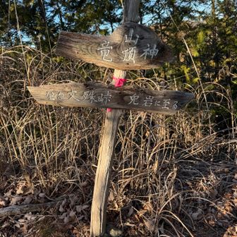 竜神山へ。小ピーク。展望はなし。