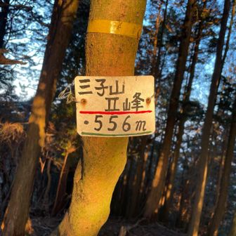 三子山中峰（Ⅱ峰）ピーク