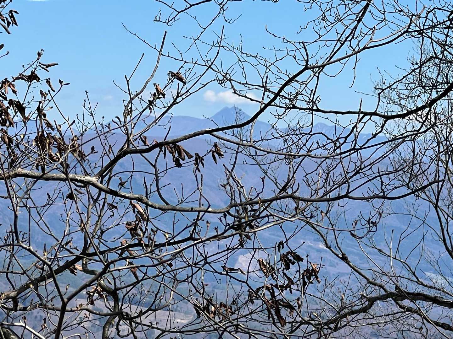 皇海山も見えてました⛰️