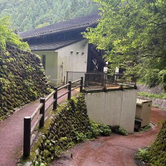 森林館を目前にして、急に雨が強くなり始めた。