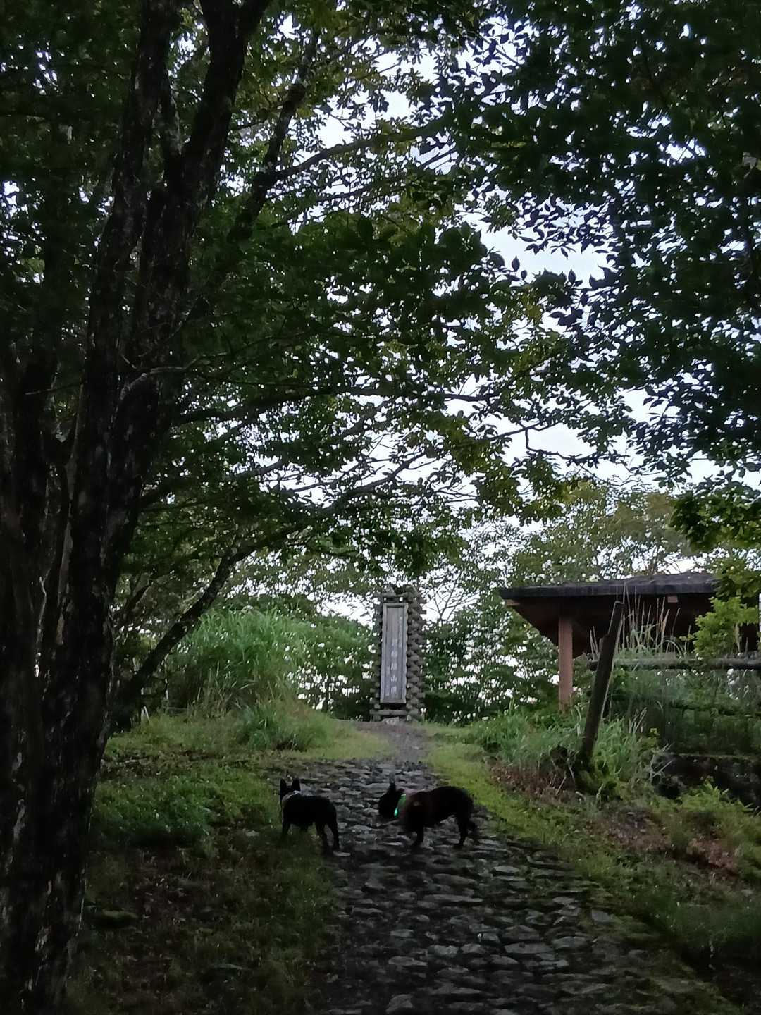 まもなく護摩壇山到着‼️