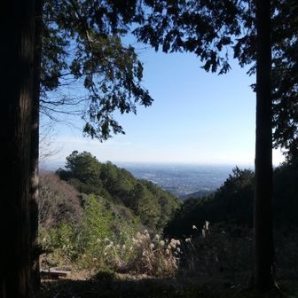 ふれあいの里山展望台
