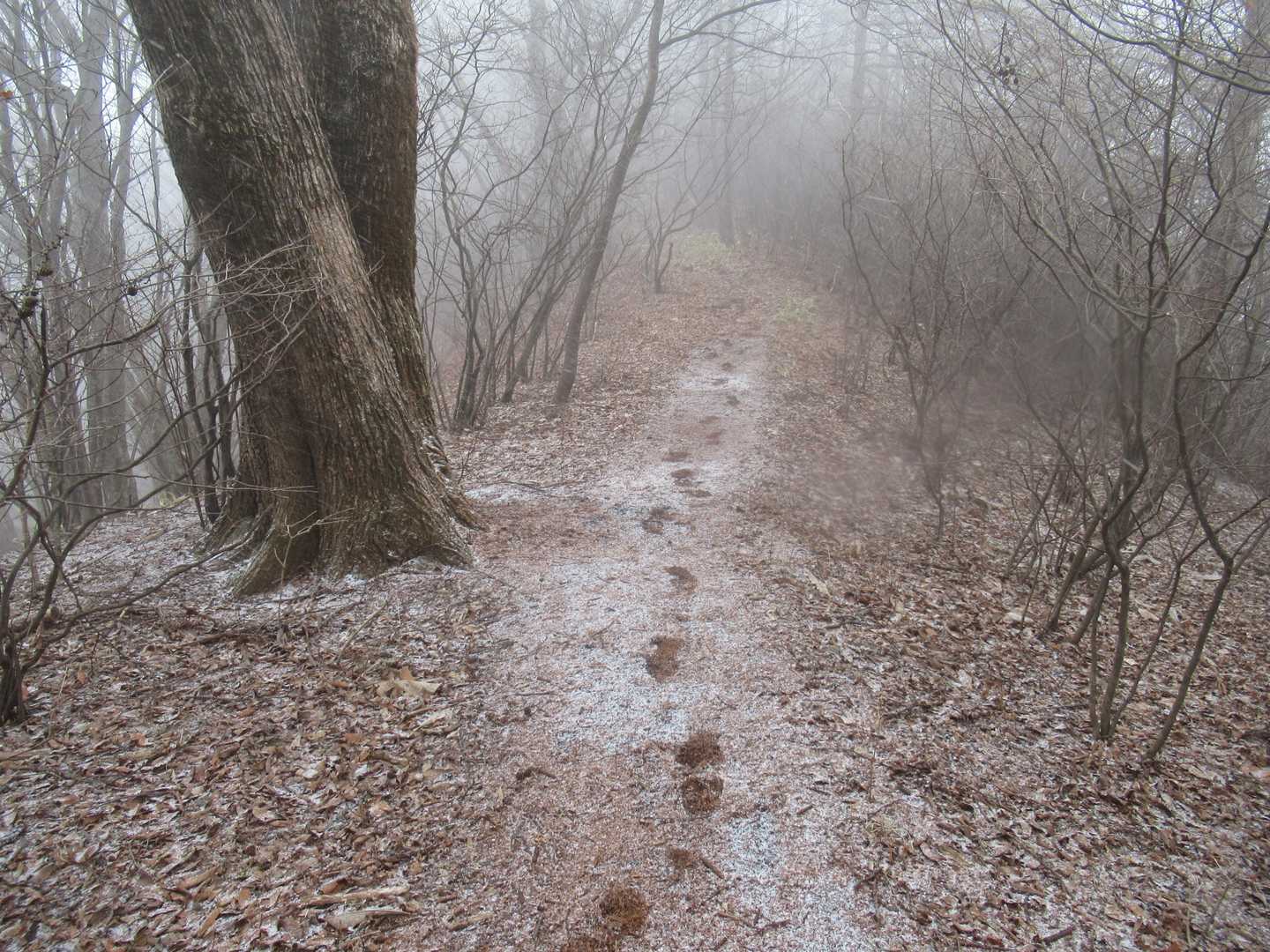 薄く雪が積もって足跡がついた😂
それにしても薄着なので寒み〜🥶
