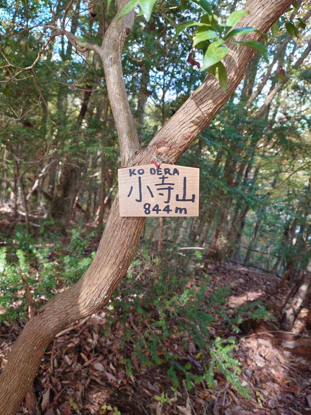 ヤマップに記載ありませんが
小寺山の看板が