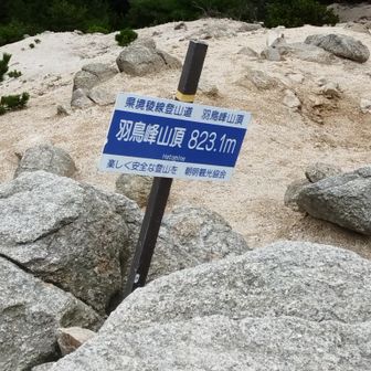 羽鳥峰
