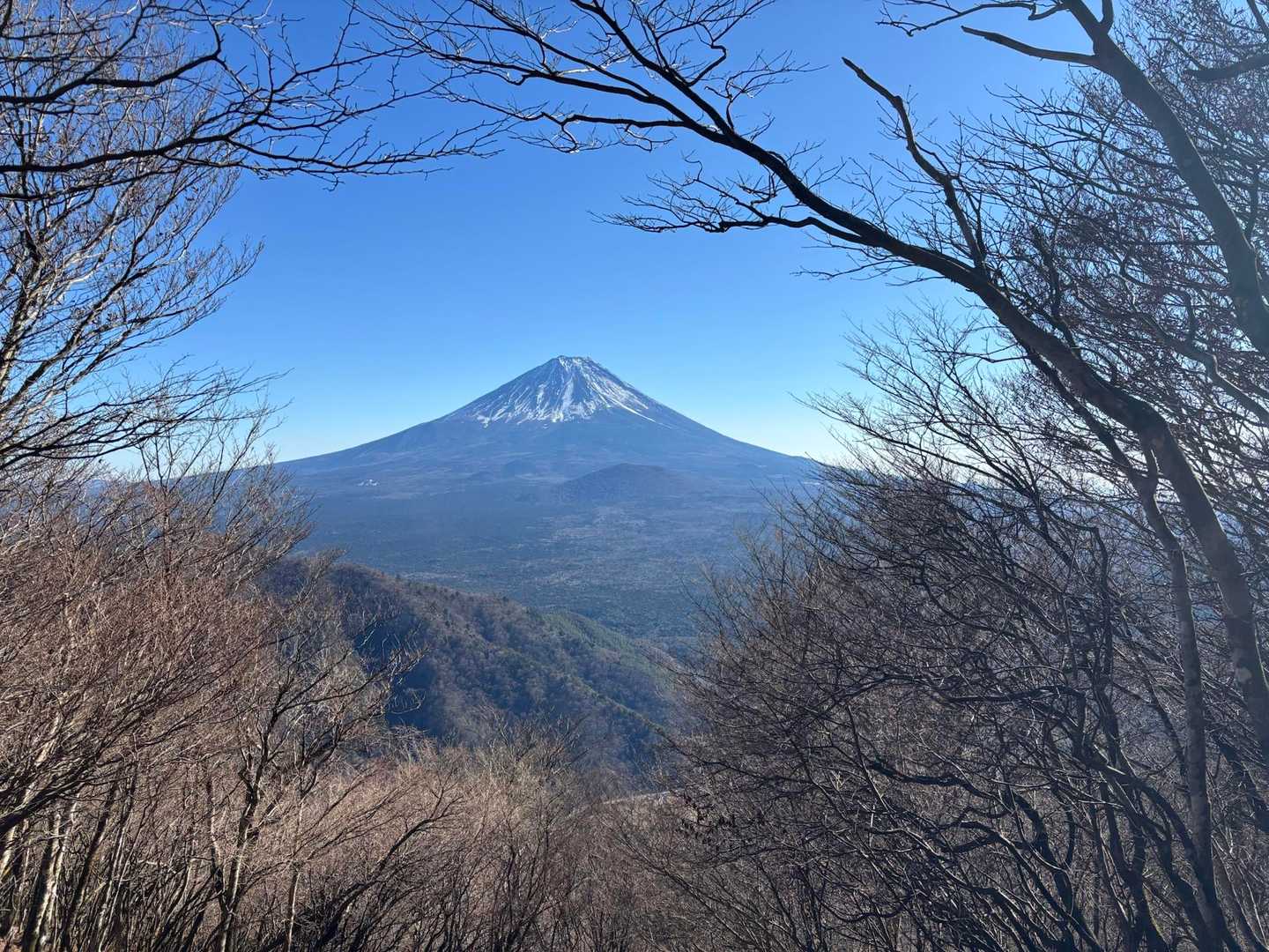 山頂より富士山。