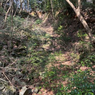 岩国城の空堀。山頂にある山城でこれだけの空堀があるのは珍しいそうな。