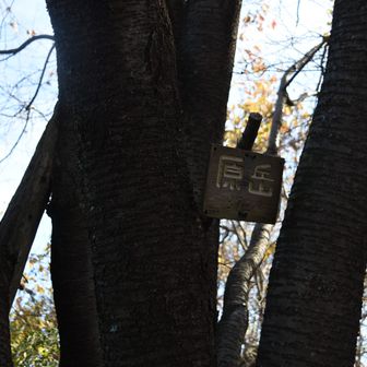 原岳めだします