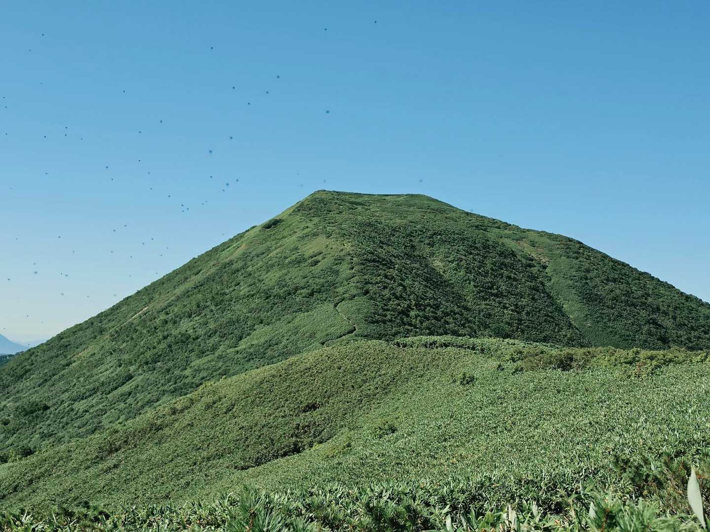 すごく良い感じの山ですね～😍