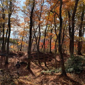西の尾根を下る