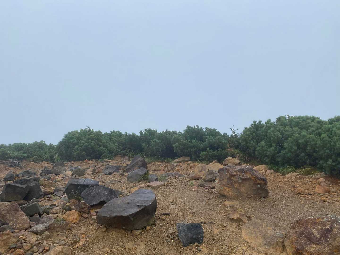 真っ白‼︎

途中でお会いした登山者からも
「今日は避暑地に来ました♪♪」とか、ポジティブなお言葉が多い

ホントみなさんスゴイな〜
ステキな人たち