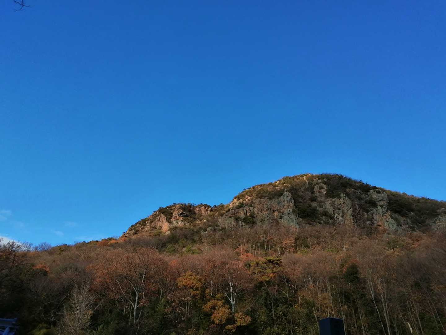 下りは鷹巣山回避ルートでたやすく下山できました😆