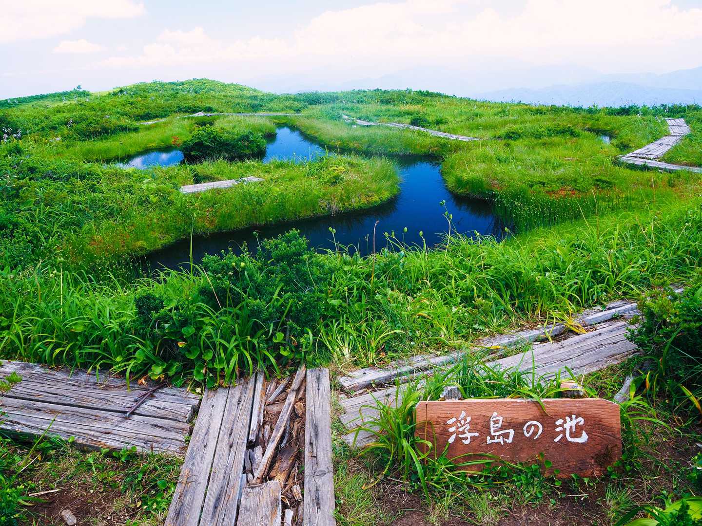 浮島の池に到着。　もうちょっと早い時期に来ればワタスゲやが咲いていたらしい。