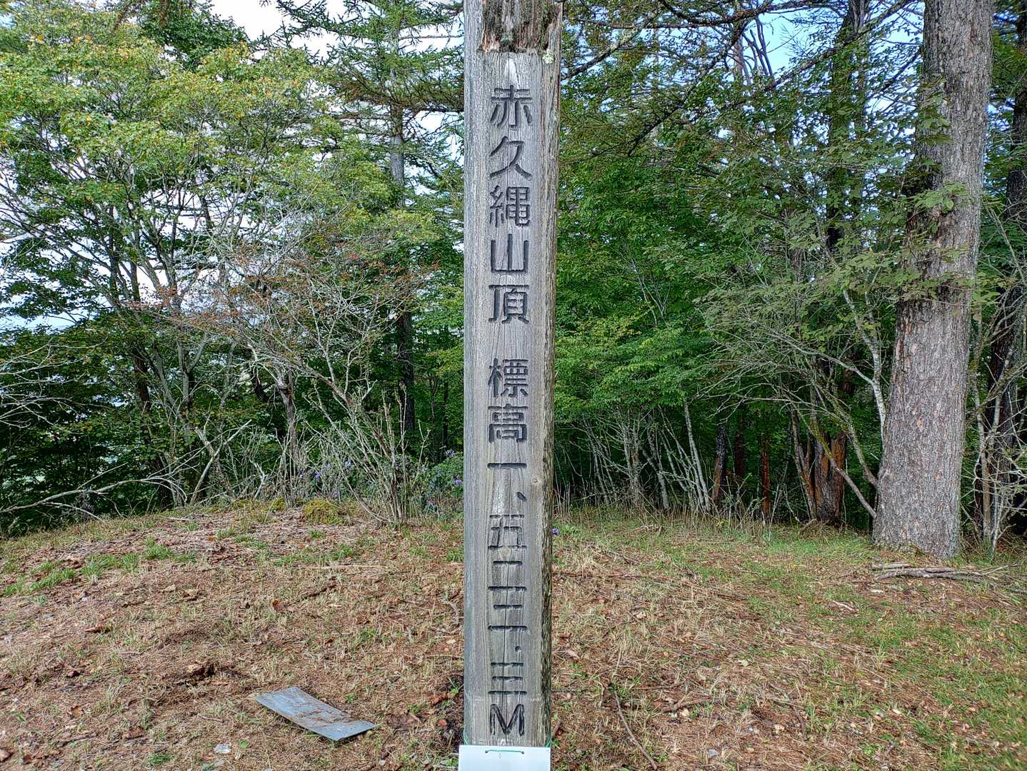 赤久縄山山頂