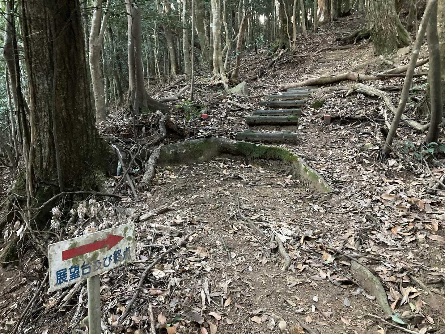 展望台あるのね