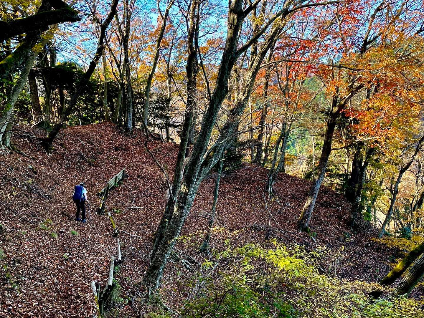 土山峠バス停-辺室山-物見峠-煤ヶ谷バス停-清川村役場前バ 縦走コースの写真