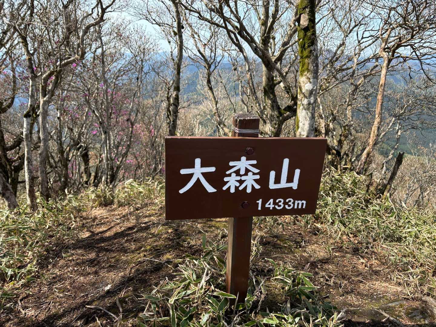 大森山へは丘を登るくらいで直ぐ到着