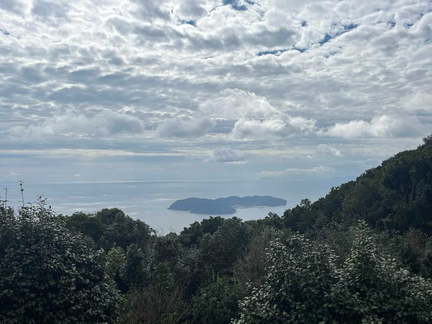 沼島  