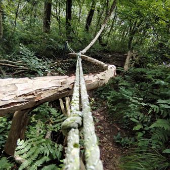 山頂方面へ少し登り返して五倫石コース下ります、この手作り感120%の道が好きだ♪
※階段部材は付近の杉の間伐材、ロープは海岸漂着物、手すりはフジの蔓😆