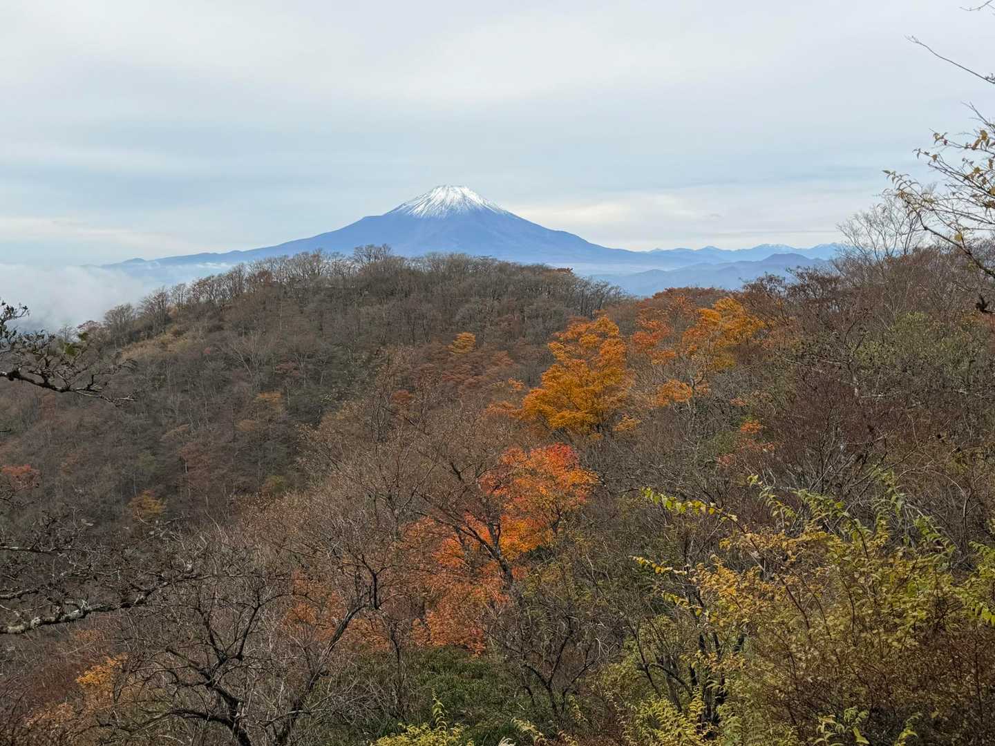 大倉バス停-観音茶屋-堀山-花立ノ頭-塔ノ岳-小丸-鍋割山 周回コースの写真
