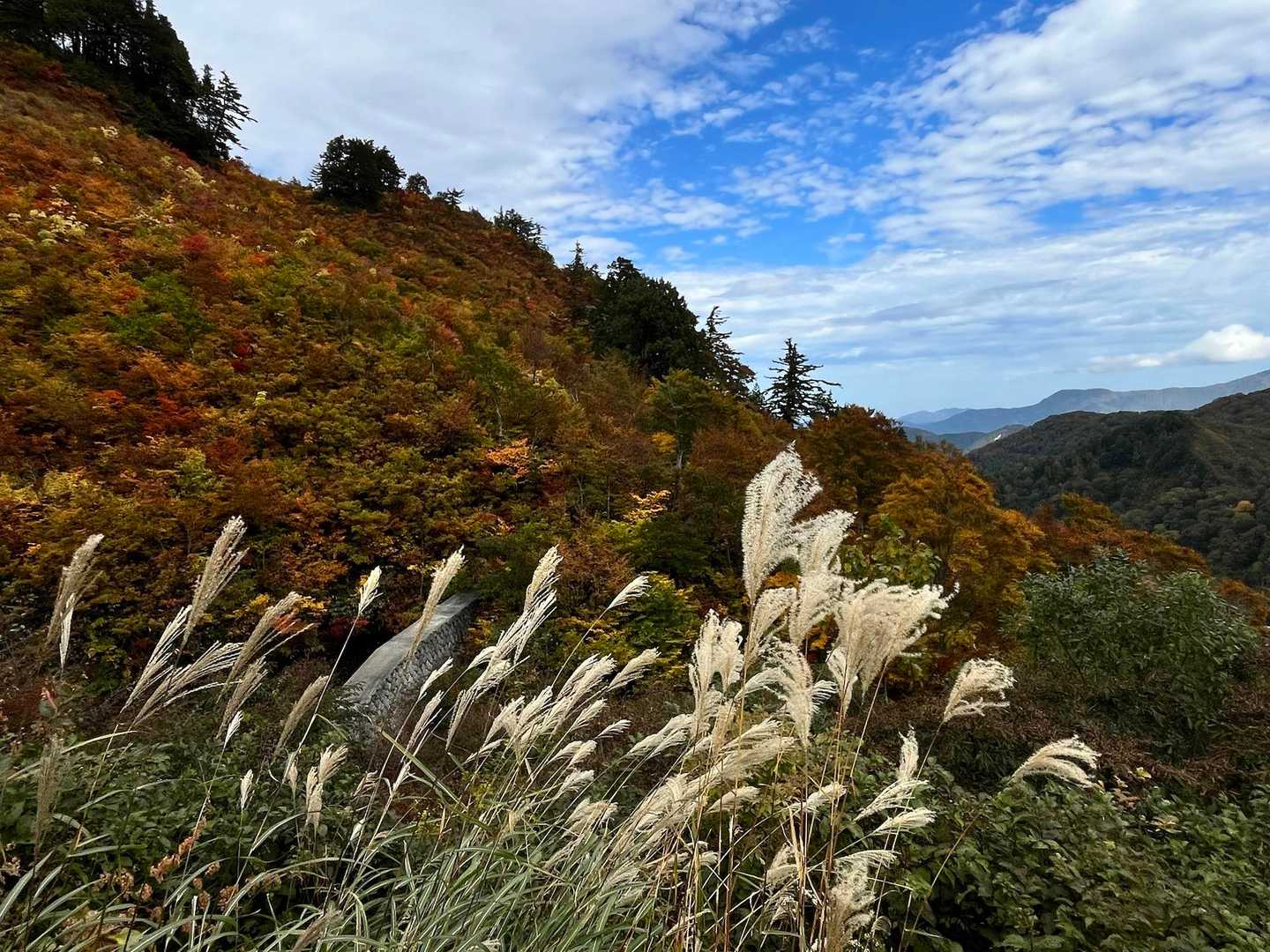 三方岩岳-馬狩荘司山-野谷荘司山 往復コースの写真