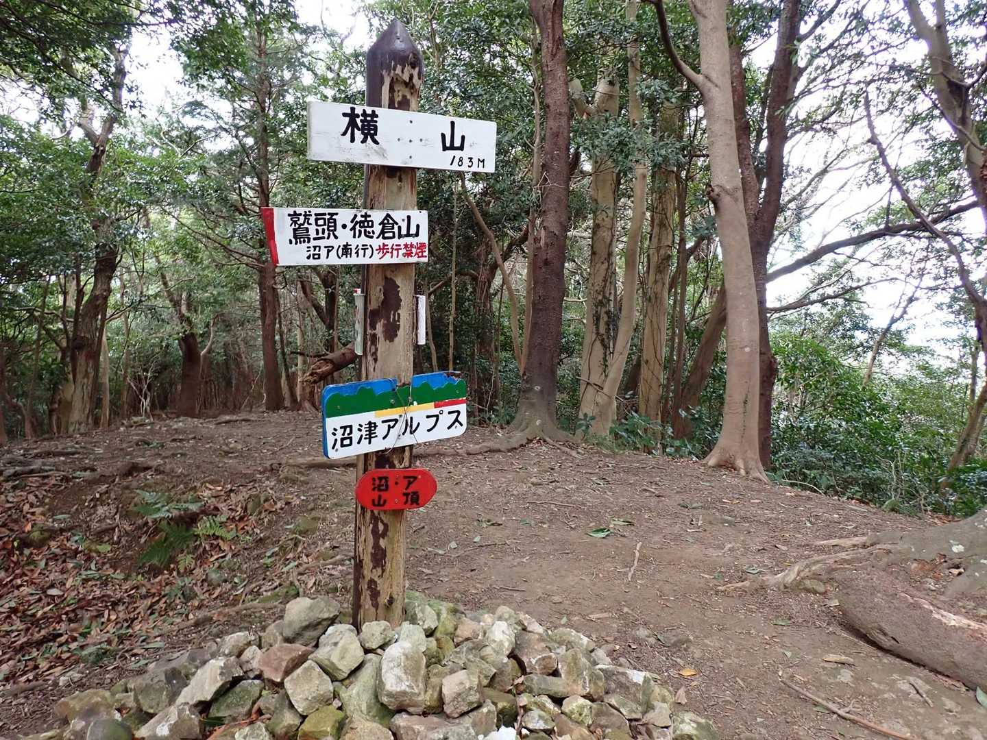 着きました横山。