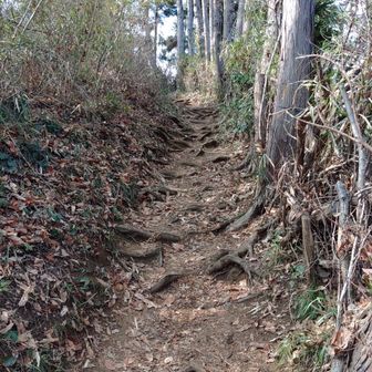 たまりじょうゆ