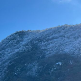 霧氷にテンション⤴️