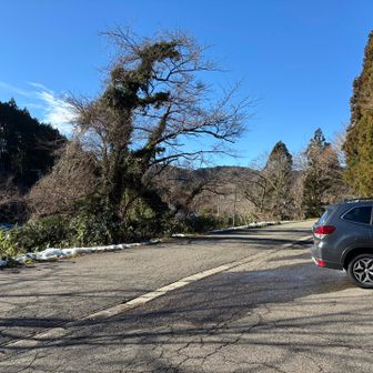 久しぶりのアップダウンでいい運動になりました😊今年も角田山を楽しく安全に歩きます✨
