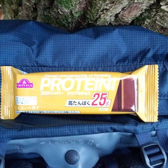 ウエルシアで買ったプロテインバー、
プロテインバーの中では食べやすい食感ですが量は多いです。