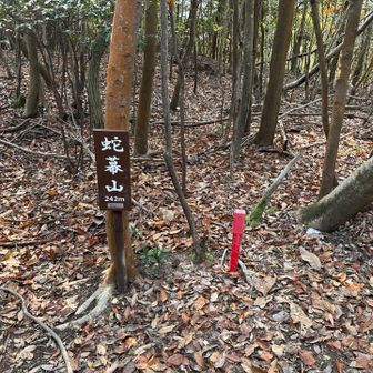 蛇幕山いただきました
眺望なし