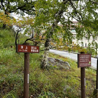 ここから、東登山道を歩きます。