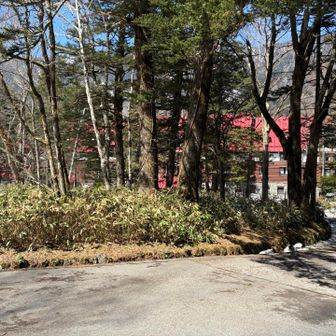 上高地ホテル🏨