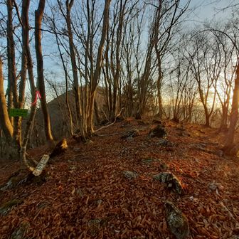 小舟伏山からの景色はこんなんだったんだね