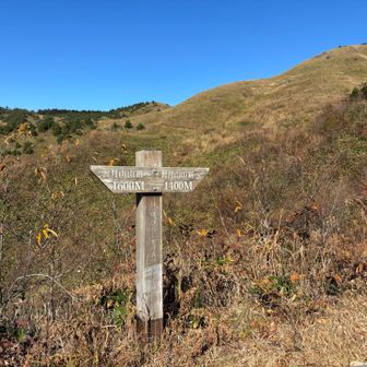行ってみよう！