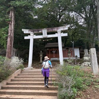 もう少し登ります