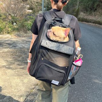 疲れたようで途中から背負います
お疲れ様でした♪