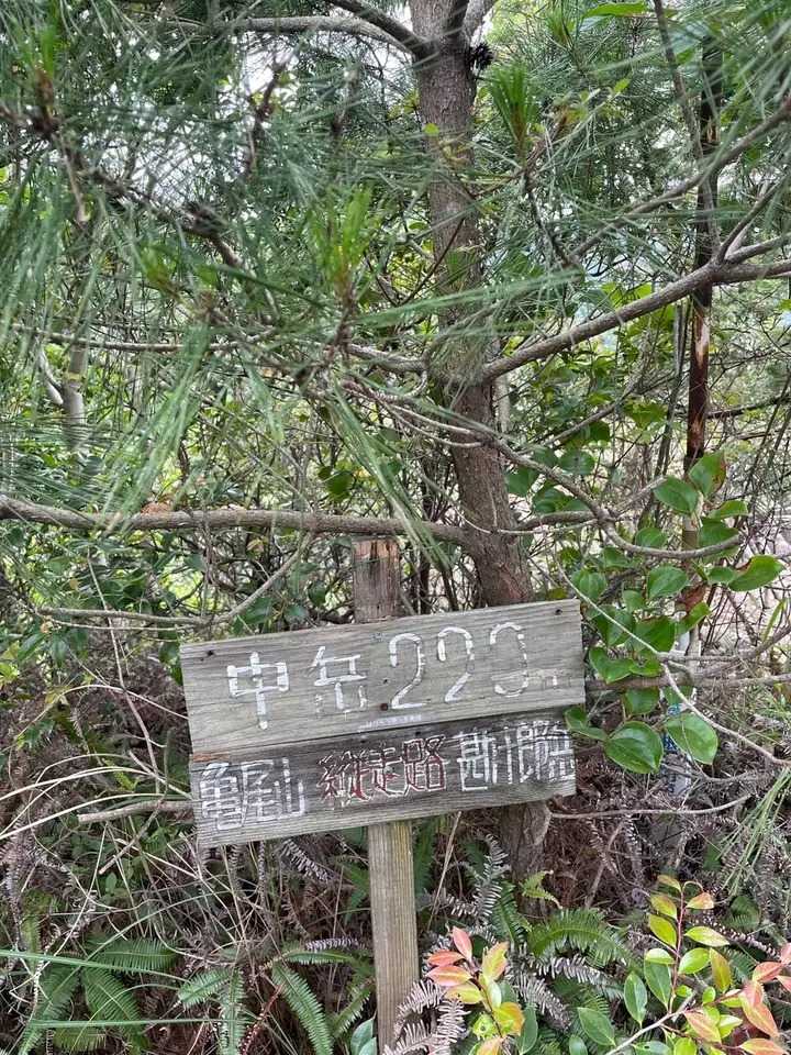 中岳の写真