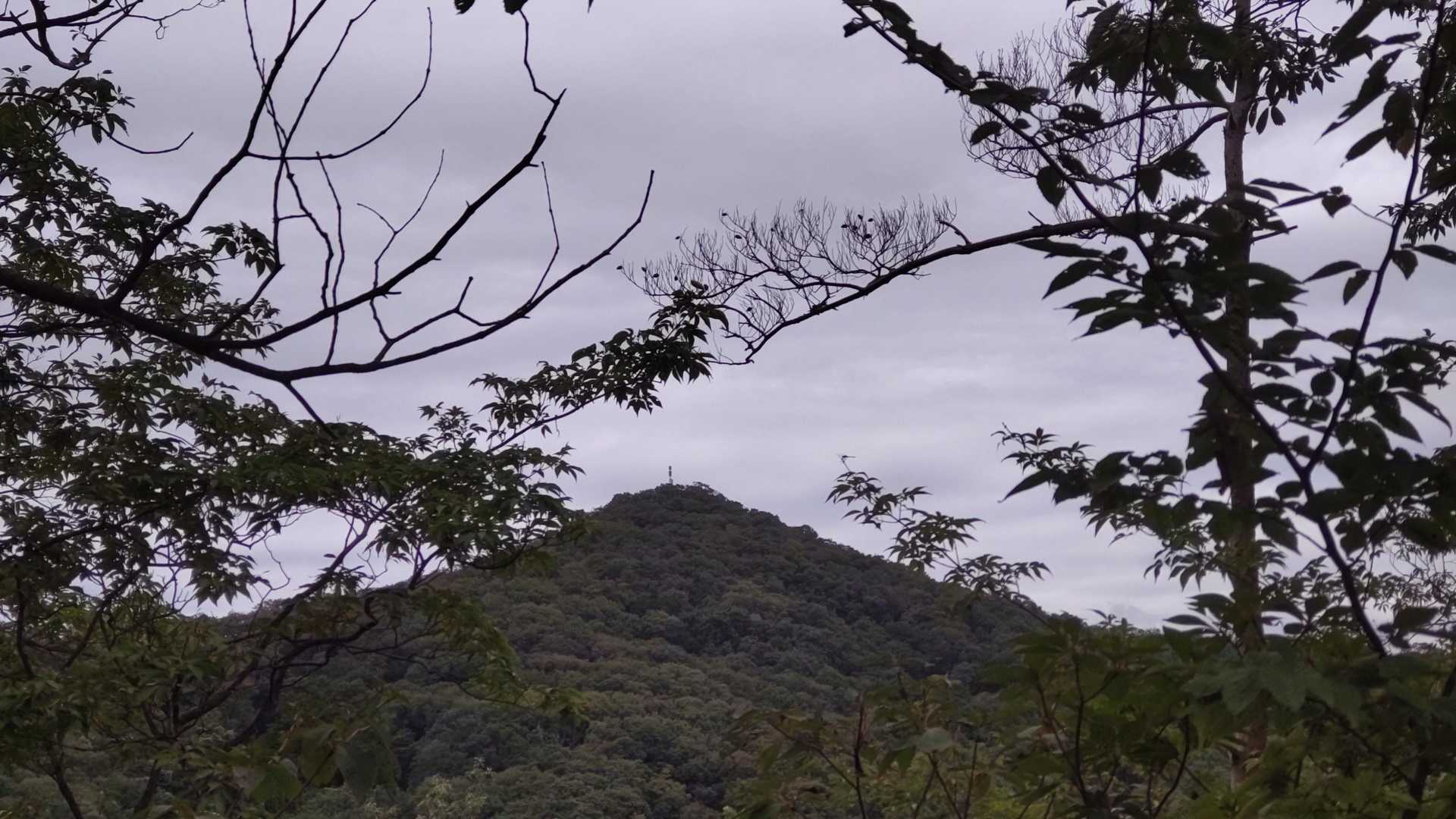 山頂中継広場 周回コースの写真