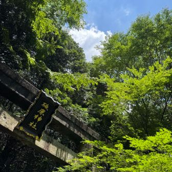 ご覧いただきありがとうございました😊
無事、下山できました😃