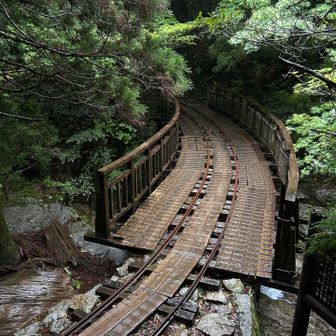 トロッコ道に降りてきた