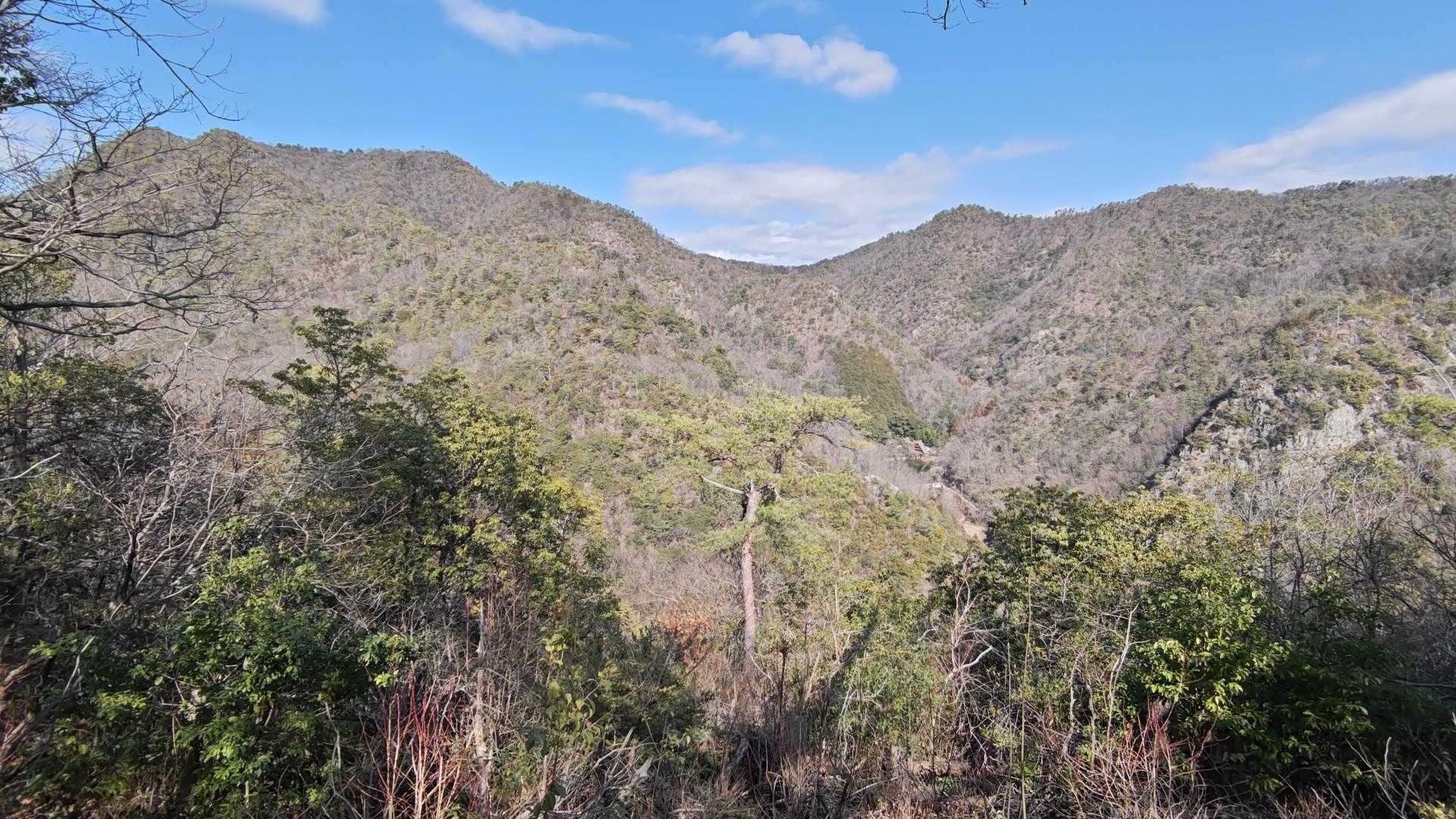 長良山 往復コースの写真